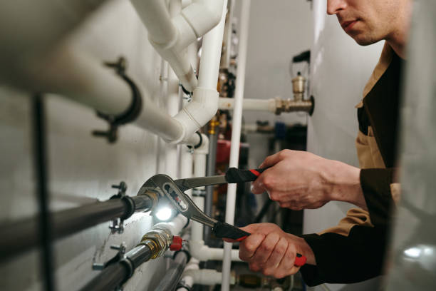 Best Drain Cleaning Services  in Newaygo, MI