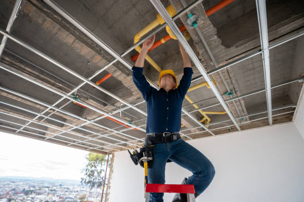 Best Plumbing Inspection Services  in Newaygo, MI