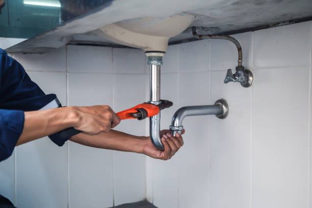 Best Residential Plumbing Services  in Newaygo, MI