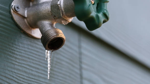Best Sewer Line Repair  in Newaygo, MI
