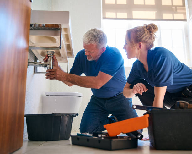  Newaygo, MI Plumbing Pros
